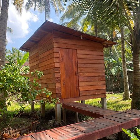Coco Cabins By Thush Bentota Exteriör bild