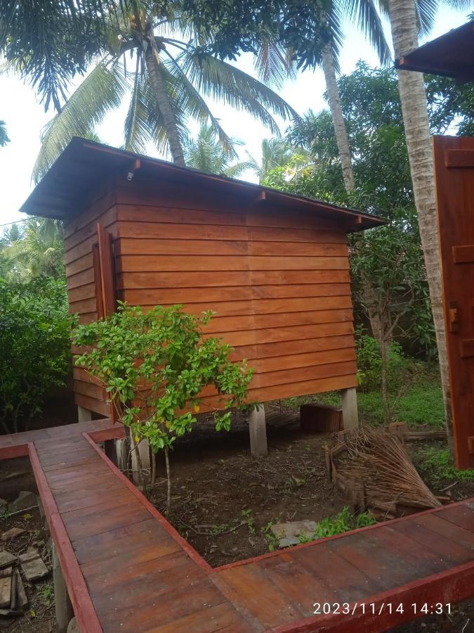 Coco Cabins By Thush Bentota Exteriör bild