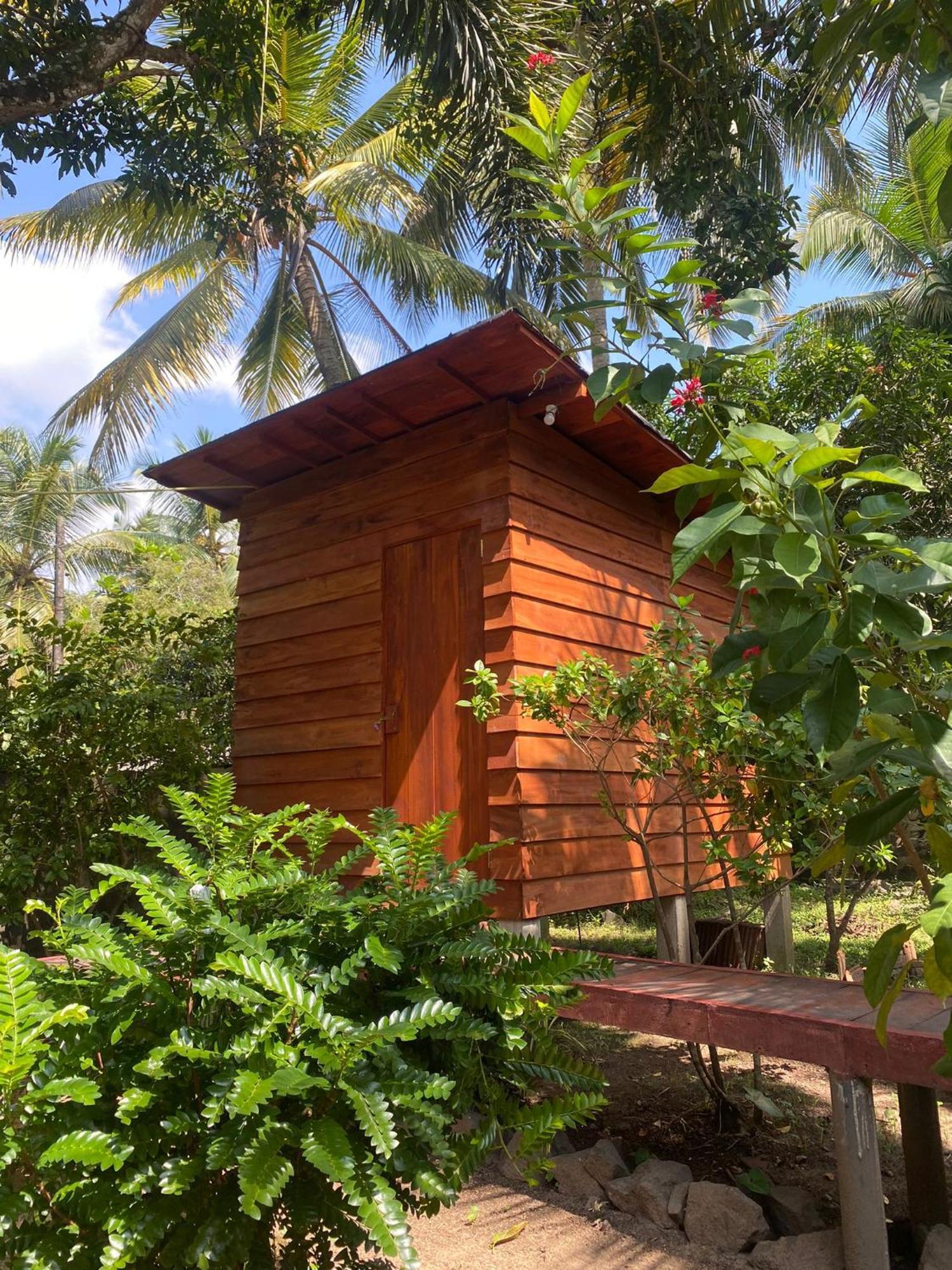 Coco Cabins By Thush Bentota Exteriör bild