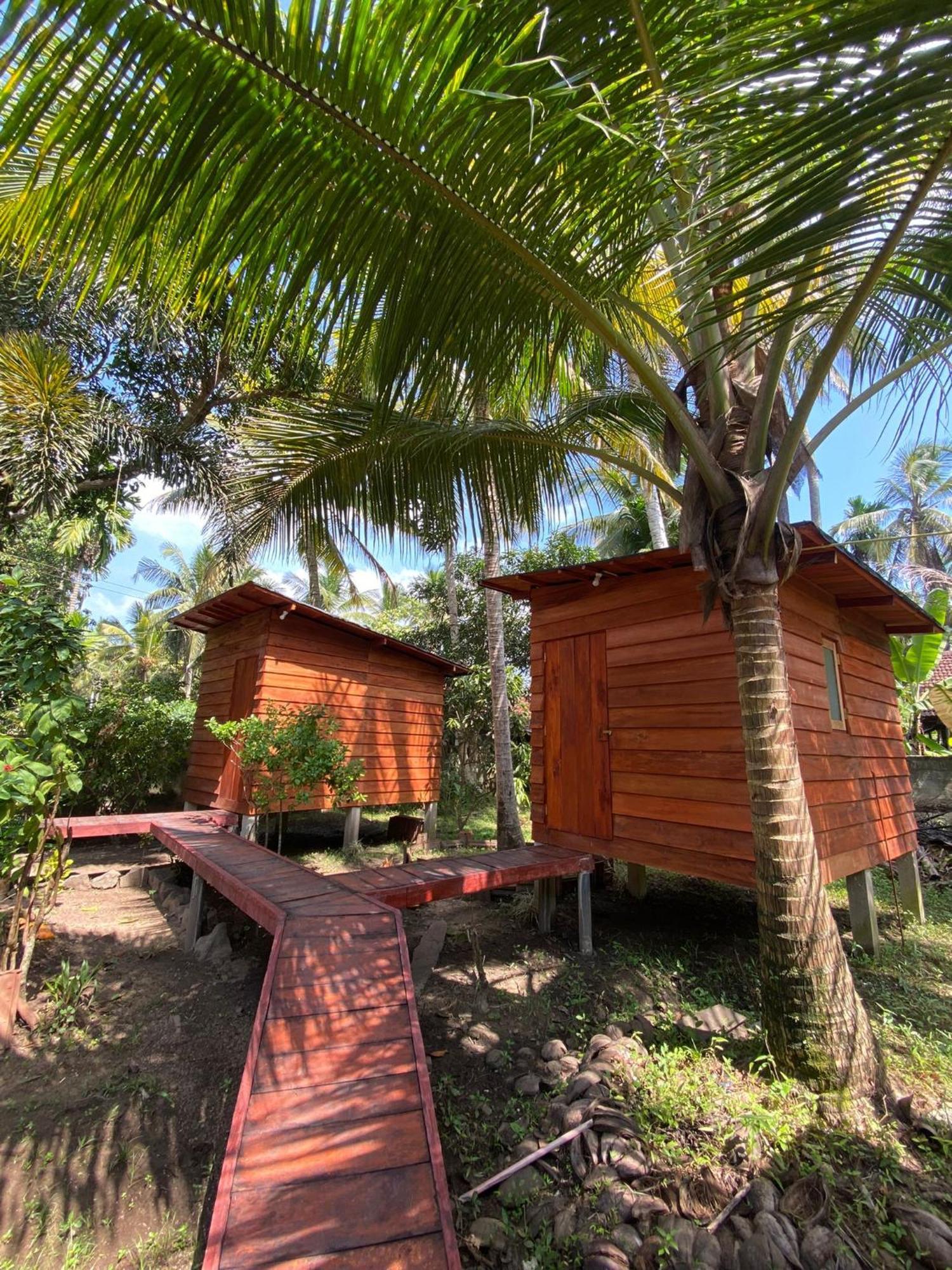 Coco Cabins By Thush Bentota Exteriör bild